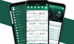 Exclusive BetWinner Bonus Offers You Should Not Miss