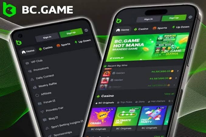 Exploring the Impact of BC.Game Platform in Jordan