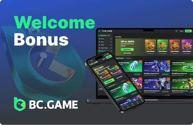 The Comprehensive Guide to the BC App Verification Process The Comprehensive Guide to the BC App Verification Process